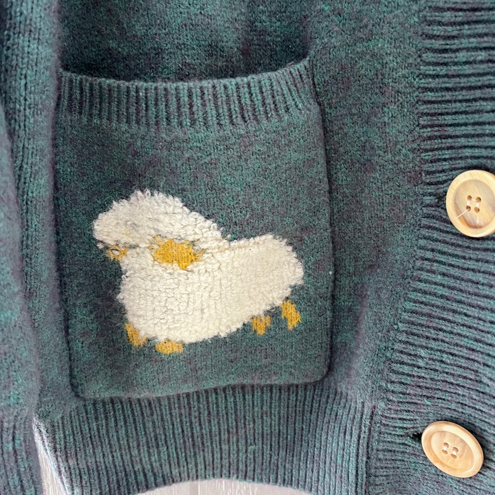Aelfric Eden Teal Sheep Cardigan Oversized Small - Picture 4 of 4